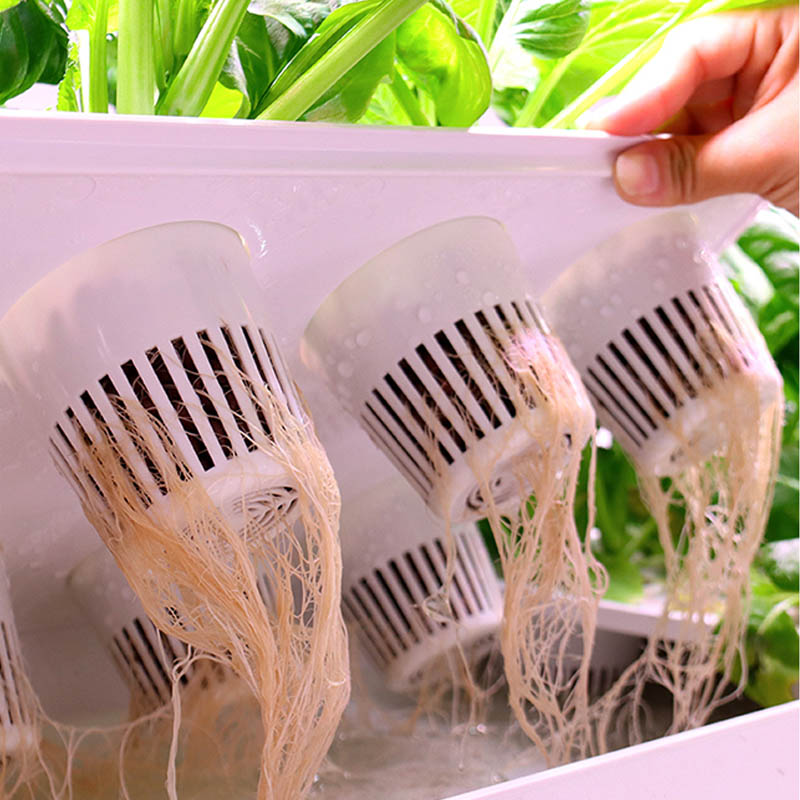Sistema de plantación ydroponi - Diy Home Automation System reseña y precio
